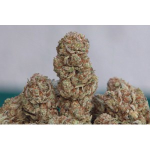 Girl Scout Cookies. Photo 2 Girl Scout Cookies. Photo 2